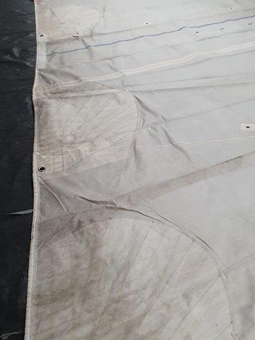 12.46m Luff Mainsail #NOH-002