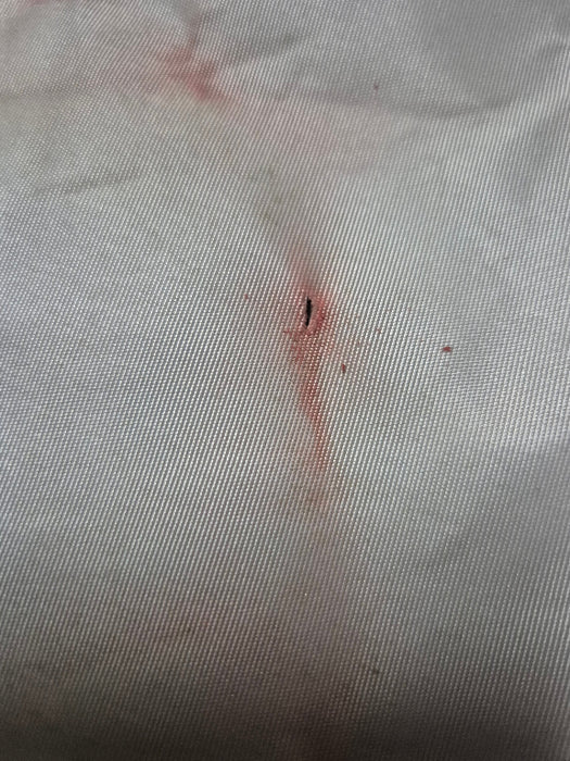 9.32m Luff Mainsail #NCP-004