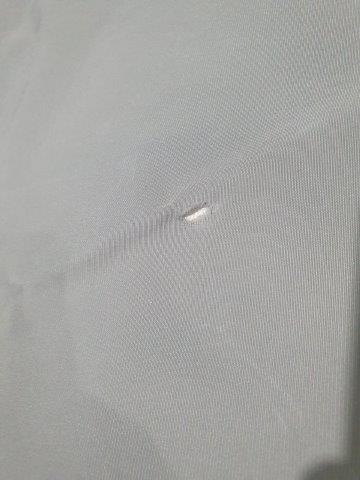 21.50m Luff Genoa (RFG) #PDY-001