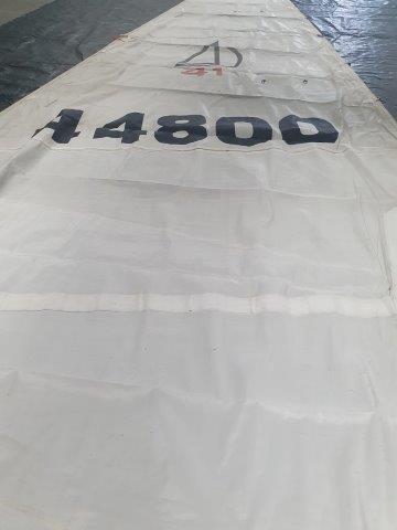 15.50m Luff Mainsail #DOY-050
