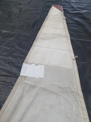 15.50m Luff Mainsail #DOY-050