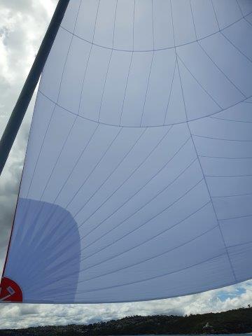 Asymmetrical Spinnaker (NEW BUILD) #ASP-109